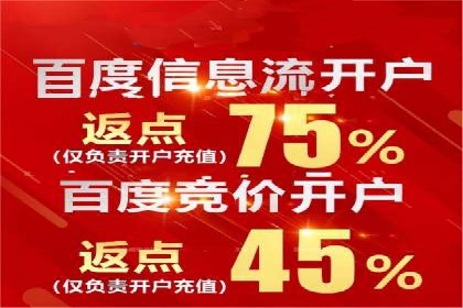百度竞价广告的投放策略及某行业案例剖析